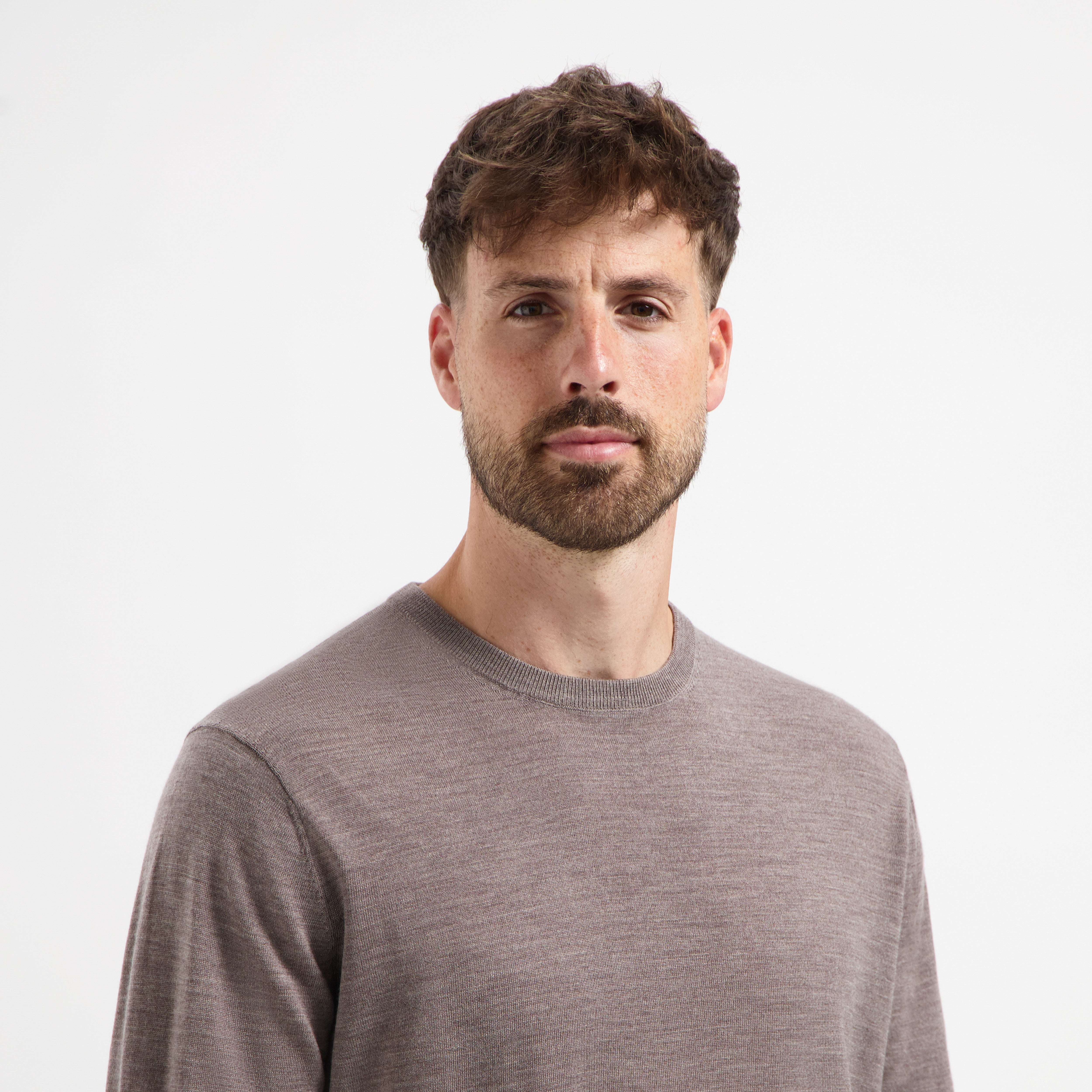 Crew Neck 100% Merino - Oak Brown