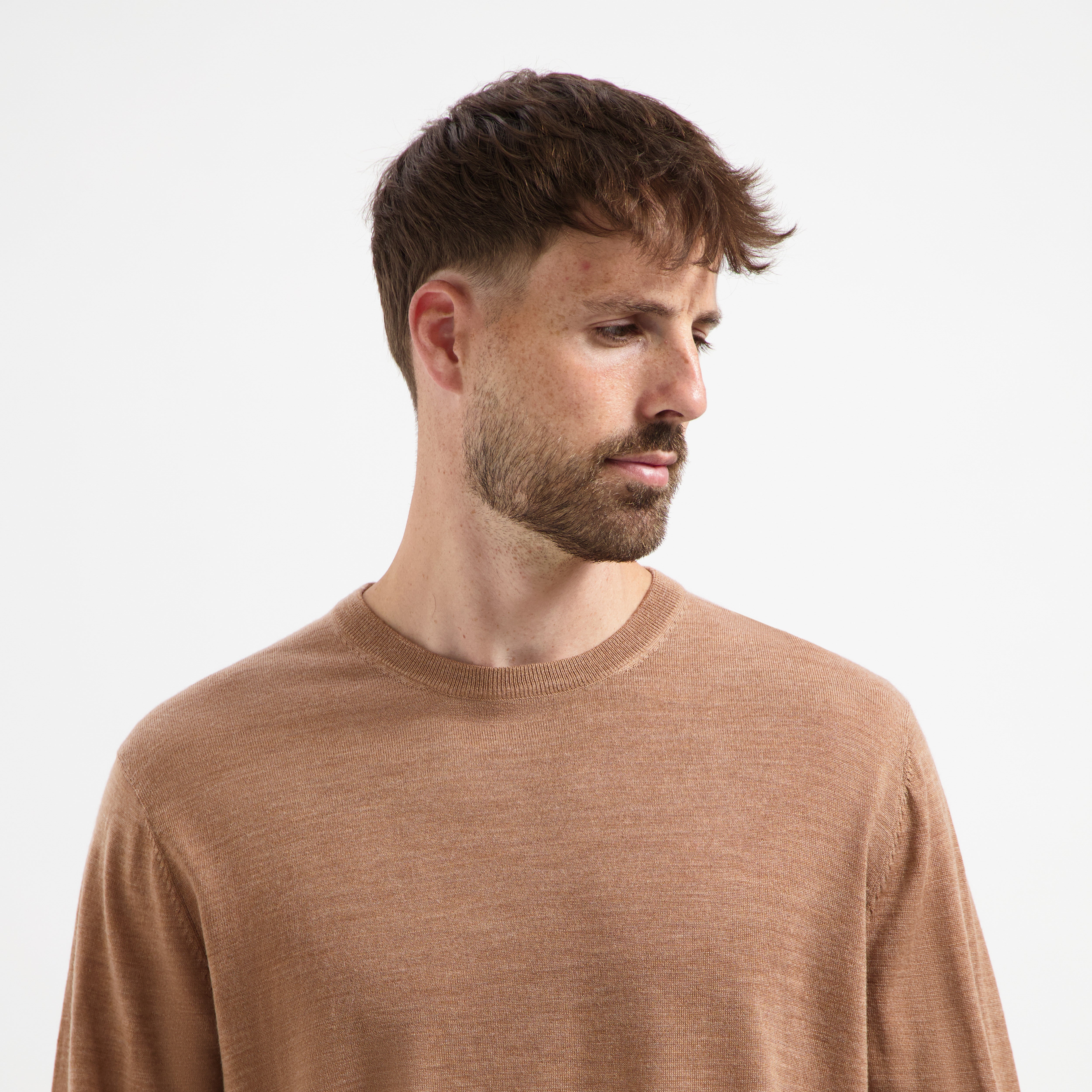 Crew Neck 100% Merino - Tuscan Camel